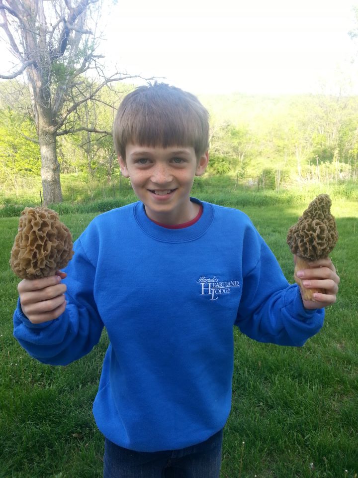 Morel Mushroom Hunting in Illinois